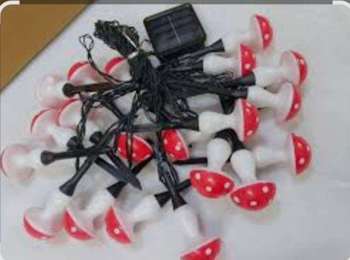 نشره فطر 🍄 عل طاقه شمسية تشتغل كامله السعر  20


**إذا كنت صاحب هذا الإعلان وتريد حذفه لأي سبب، رجاءا أرسل رسالة إلى الدعم الفني**