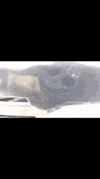 دراجة البيع كلشي مابيها شغله حلوة كلشي ما عايزه كامله السعر 550بي مجل مكان سامراء الرقم ***********
