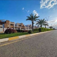 دارين متجاورين • طابو ملك • 300م