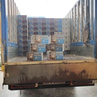 اصباغ الحضارات • معرض الريحانة • ديالى _ هبهب