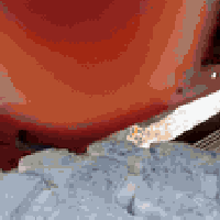 قجمه للبيع موديل 82 بلاديه شاصي مكفول كفاله عامه مجموعة جيف 17شركه محر...