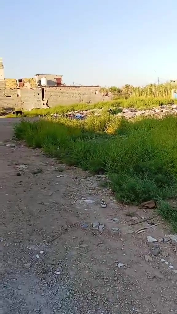 🏡 قطعة أرض للبيع – كربلاء /الحر
📍 منطقة الرشدية، قرب معمل الحب
📐 المساحة: 100 متر مربع
📄 السند: طابو زراعي (سند 25)
السعر /مناسب جداً 
موقع جيد وقريب من الخدمات، مناسبة للسكن أو الاستثمار.

📞 للاستفسار:***********

#عقارات_كربلاء #أرض_للبيع #الحر #الرشدية
