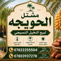 افتتاح مشتل • رعد الكعبي • الحويجة