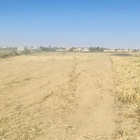 ارض زراعيه • ٧ دونم • قريب مدرسة سيد المرسلين