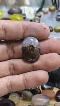 خامات طبيعية • تلميع يدوي • مصورات