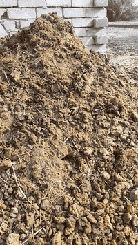 سلام عليكم يتوفر سماد حيواني نظيف ولابي ملح ولا شي سمادة تخبل افظل من بتموس  ملاحظه سماد مال جاموس وابقار مو مال مقالع ودبون يشبه بتموس وسعر حسب المكان ***********
