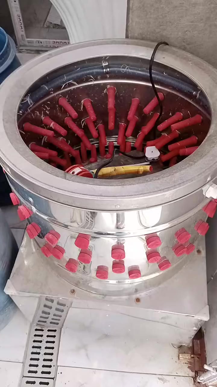 سلام عليكم عندي غراض كامله مال محل دجاجه هلاسه مذبح طباخ كدر سنك كاونتري قفص حديد دبات مي 2 كلهن جدد مشتغلات عشر ايام السعر 550للاتصال***********
