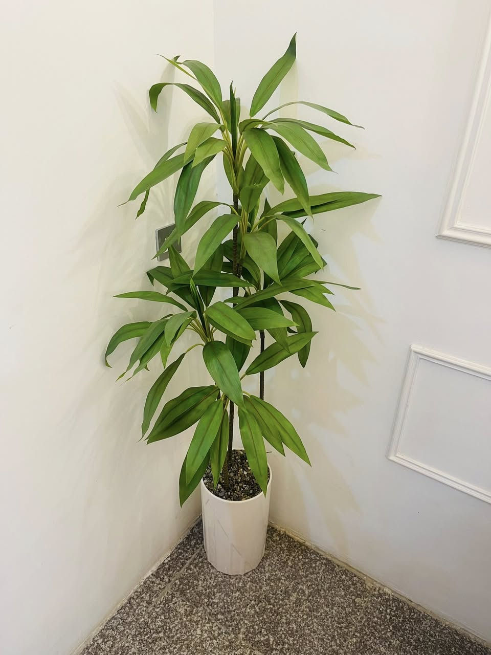 شجر قياس ١٦٥ سندانه زجاج


**إذا كنت صاحب هذا الإعلان وتريد حذفه لأي سبب، رجاءا أرسل رسالة إلى الدعم الفني**