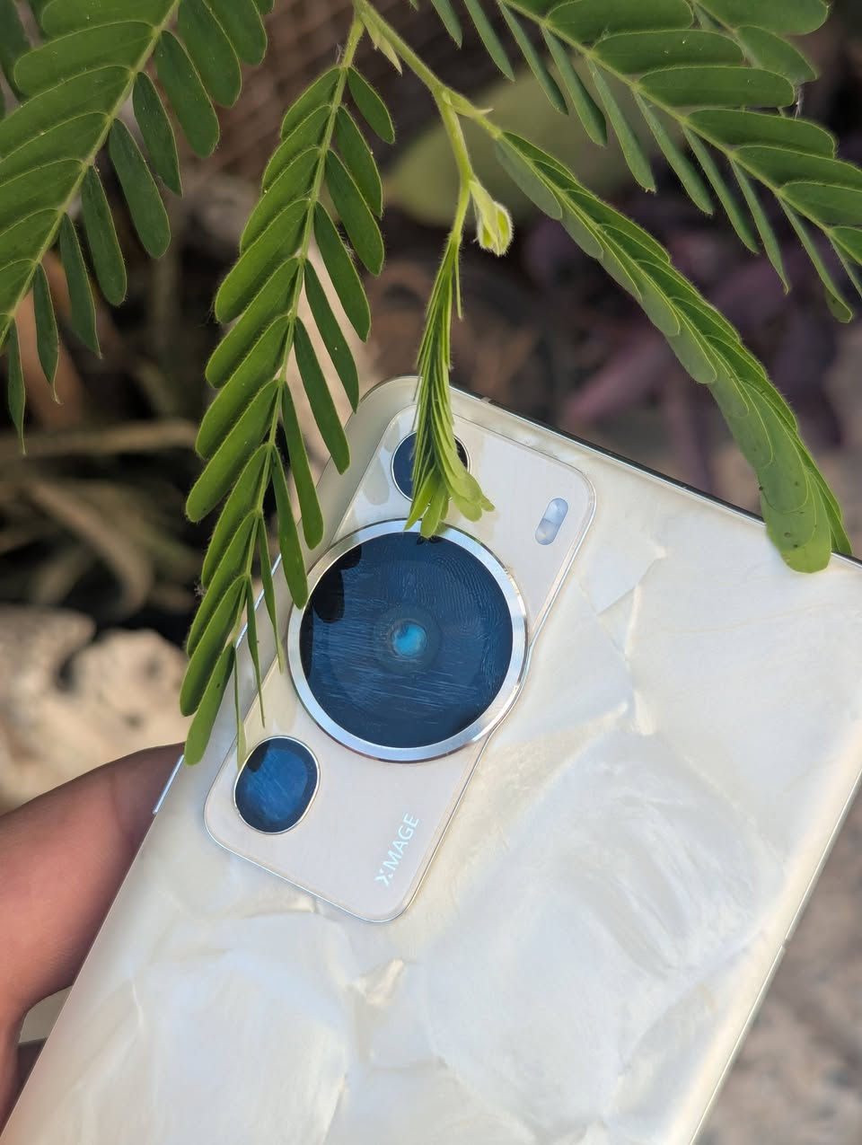 Huawei p60 pro
للبيع او مراوس  شعندك نزلي 
 ذاكره 256 رام8
الجهاز وتر بروف بنظافه 95 % 
عدا فطر بسيط  بالظهر موضح بالصور 
ملحقات  فقط الجهاز وكفرات
بطارية الجهاز 95 %
معالج sn 8 gen 1 ببجي 90 فريم
خدمات كوكل تنزل كلها 100 على100

توصيل متوفر فقط بإعتماد🔴

((نشتري جميع الاجهزه المستخدمه 🔴
بانسب الاسعار ))


**إذا كنت صاحب هذا الإعلان وتريد حذفه لأي سبب، رجاءا أرسل رسالة إلى الدعم الفني**