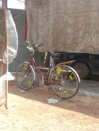 حويا • ما بيها شي • بدون توصيل