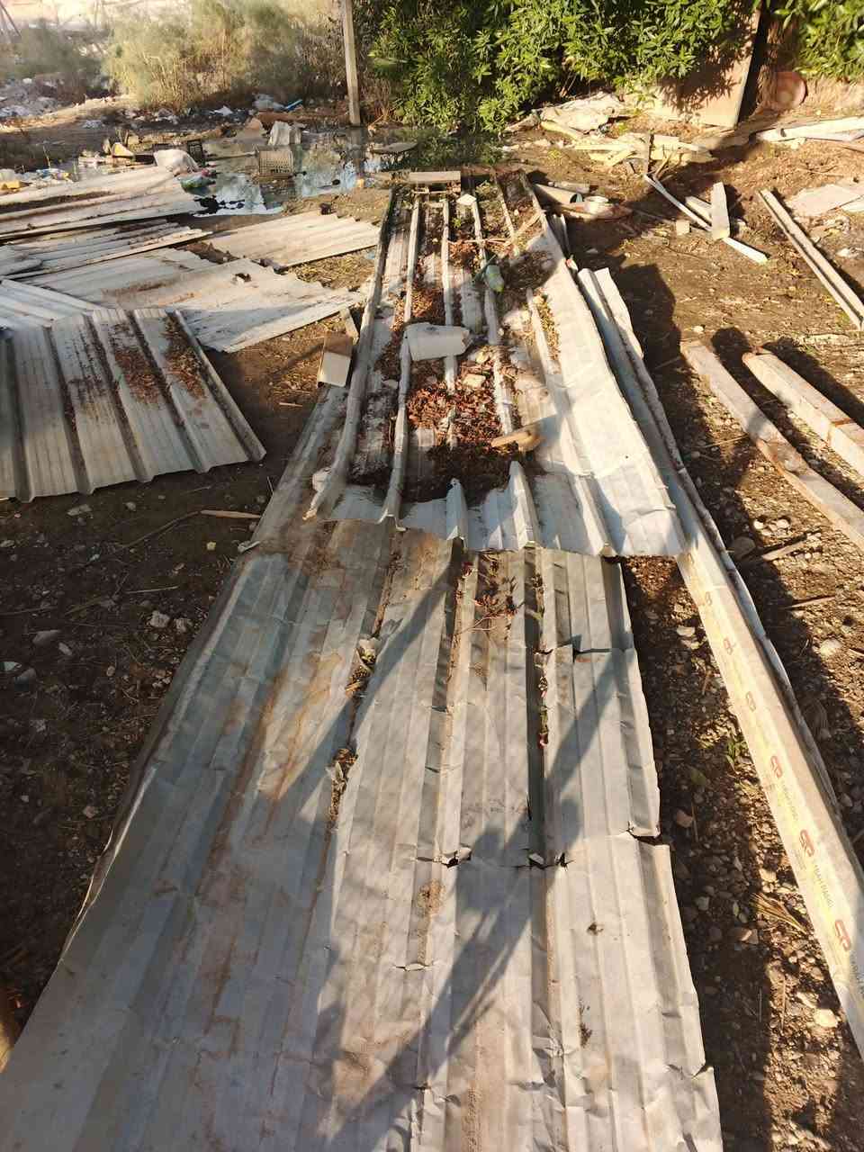 جينكو للبيع ***********
