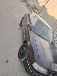 فيكترا • كفاله عامه • سوق الشيوخ