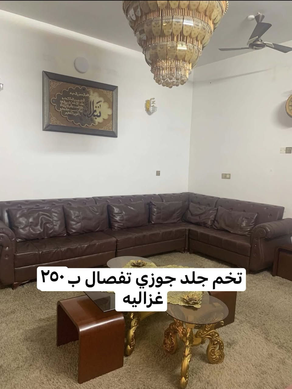 غزاليه ***********
