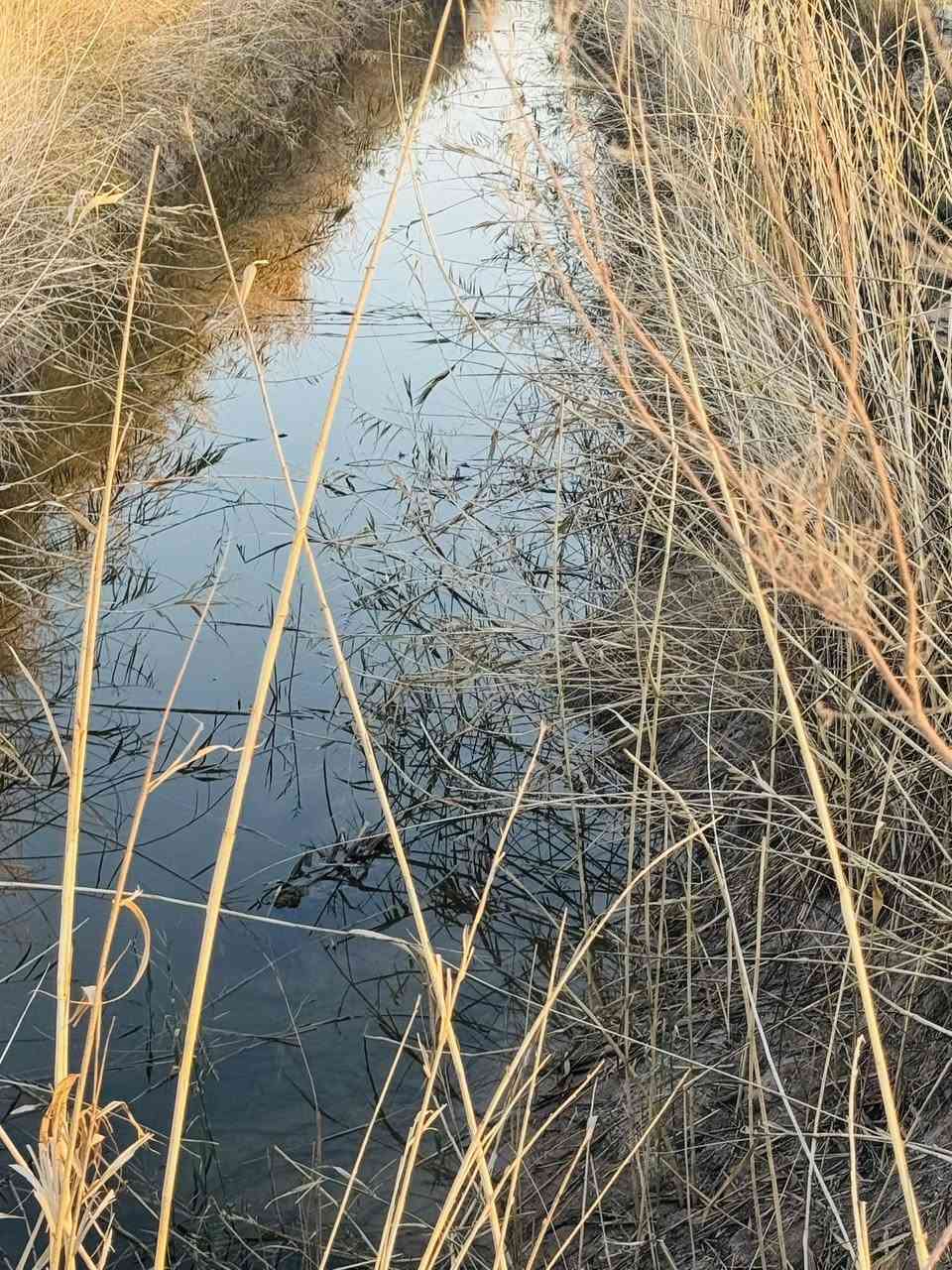 أرض زراعية مساحة( 4 دونم )  ، عقد زراعي ١١٧ ( عبد الكريم قاسم ) .
، تقع في منطقة ام نعجة ، طريقها  عمود ٢٥٦ طريق نجف - كربلاء. او مفرق الكفل قرب سيد يحيى 
يتوفر فيها كافة الخدمات ( ماء سقي - ماء اسالة _ كهرباء )

للاستفسار خـــــــــــاص او اتصال  ***********
