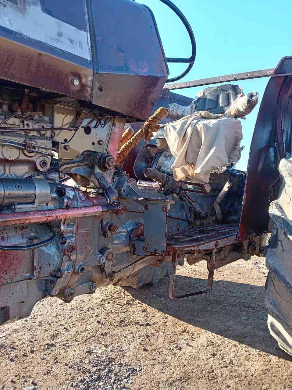 للبيع تركترفوركسن انكليزي ٢٩٠ نضيف لاصرف لابخار المكان الحويجه الاستفسار اتصل *********** واتساب موجود
