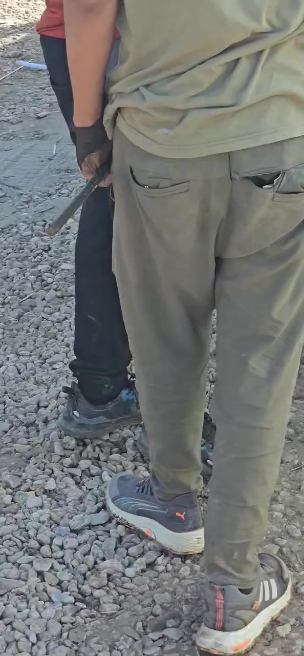 رارنج بسندان 
١٥٠٠ دينار عراقي 
تين بني مسلم 
كل ٣ في الف دينار
سدر تفاحي 
حجم حمال 
٦٠٠٠ دينار
سدر تفاحي ارتفاع متر وربع 
٥٠٠٠دينار عراقي 
اكاسيا مصري ارتفاع متر وربع 
٢٠٠٠ دينار 
رمان اندرفول  ٥٠٠ دينار 
جهنمي  ٢٥٠٠
تين خالد  ٢٠٠٠ دينار 

للحجز ***********
بابل السريع الدولي  كيش
