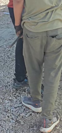 تين • سدر تفاحي • بابل