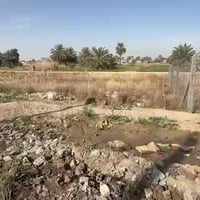 قطعة ارض للبيع المساحة 100م الوجه 8 نزال 12 ونص طابو زراعي سند 25 مكات...