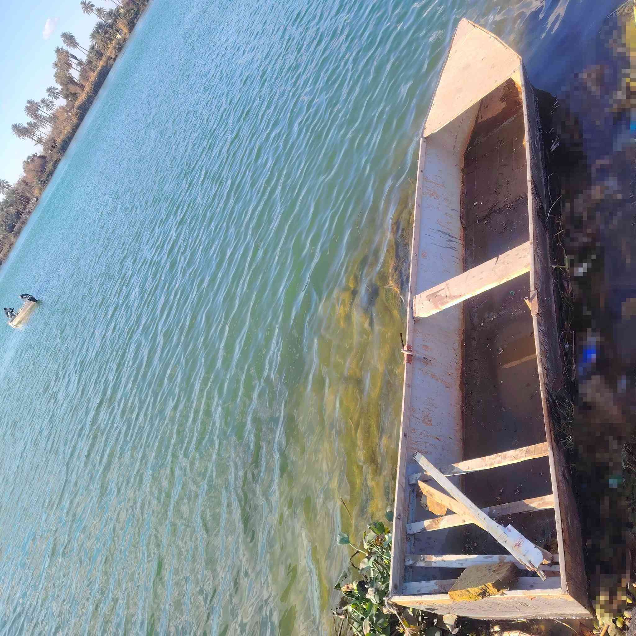 السلام عليكم
بلم #بليت نضيف  للبيع  مال شص
#مكان مسيب للاستفسار الاتصال ع الرقم / ***********
#ملاحظه البلم بلبيت انسه ينزرف أو يخيس
