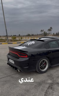 مراوس • زوج ويلد • بابل