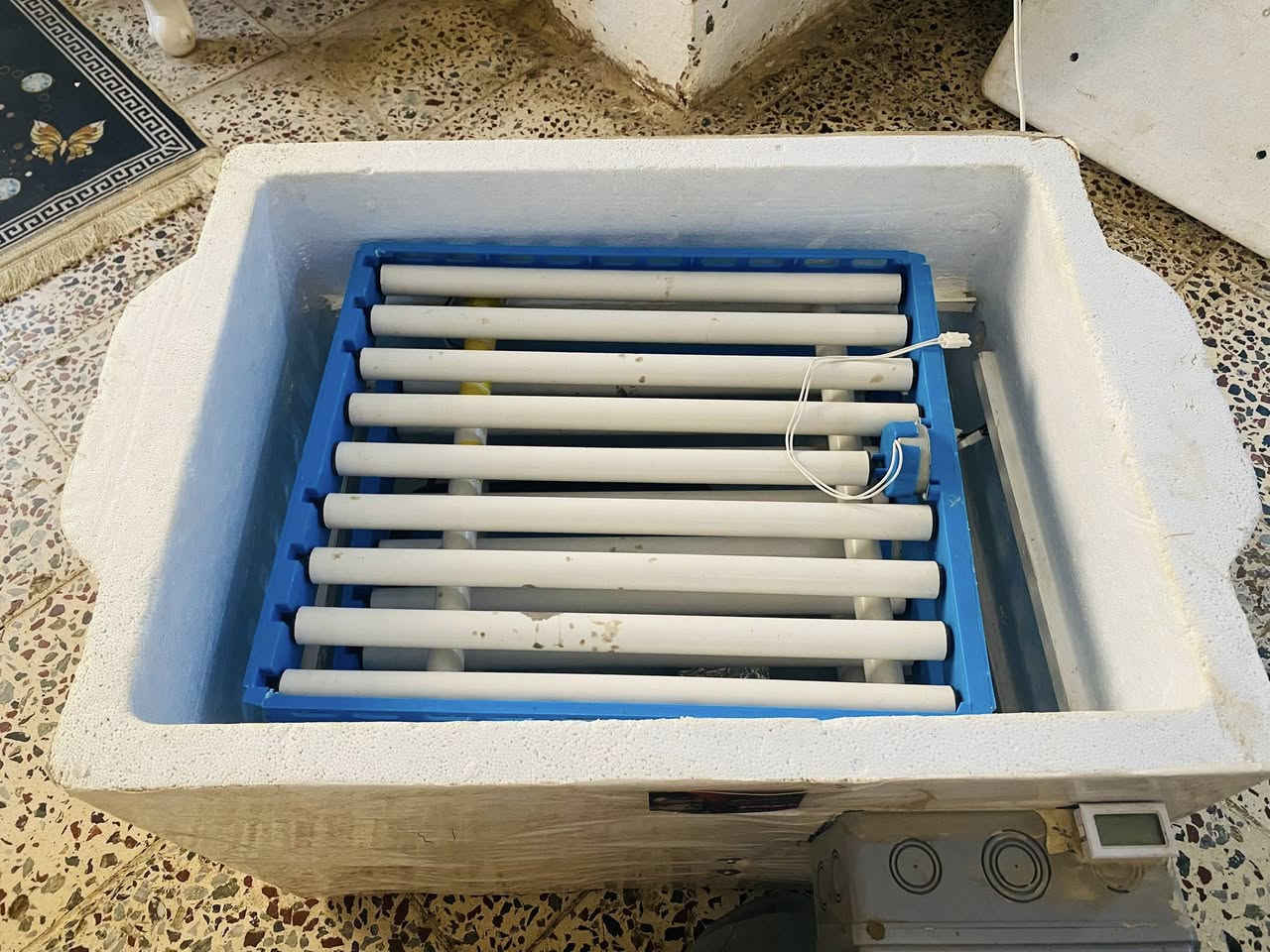 للبيع فقاسة نظيفة
اتشغل وتفحص وتقتنع وتاخذها 
عدد البيض 120 
السعر 80 الف .


**إذا كنت صاحب هذا الإعلان وتريد حذفه لأي سبب، رجاءا أرسل رسالة إلى الدعم الفني**