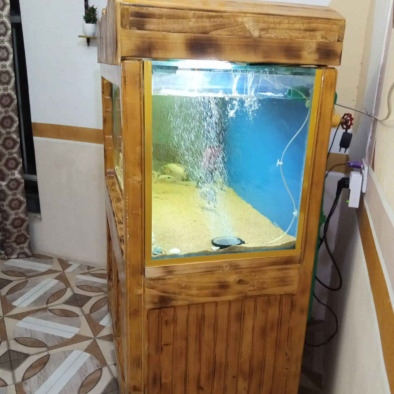 اسعد الله اوقات الجميع
حوض اسماك متكامل الملحقات. للبيع

سمك الجام 10 ملم
الطول 120
العمق 50
الارتفاع 60
منضومة بنظام سامب. يعني ألماء مفلتر تلقائية

السامب اربع مراحل لتصفية الماء من الشوائب
فلتر سقفي لسحب الفضلات

حاليا. خالي من الاسماك فقط الملحقات

دمتم بخير


**إذا كنت صاحب هذا الإعلان وتريد حذفه لأي سبب، رجاءا أرسل رسالة إلى الدعم الفني**