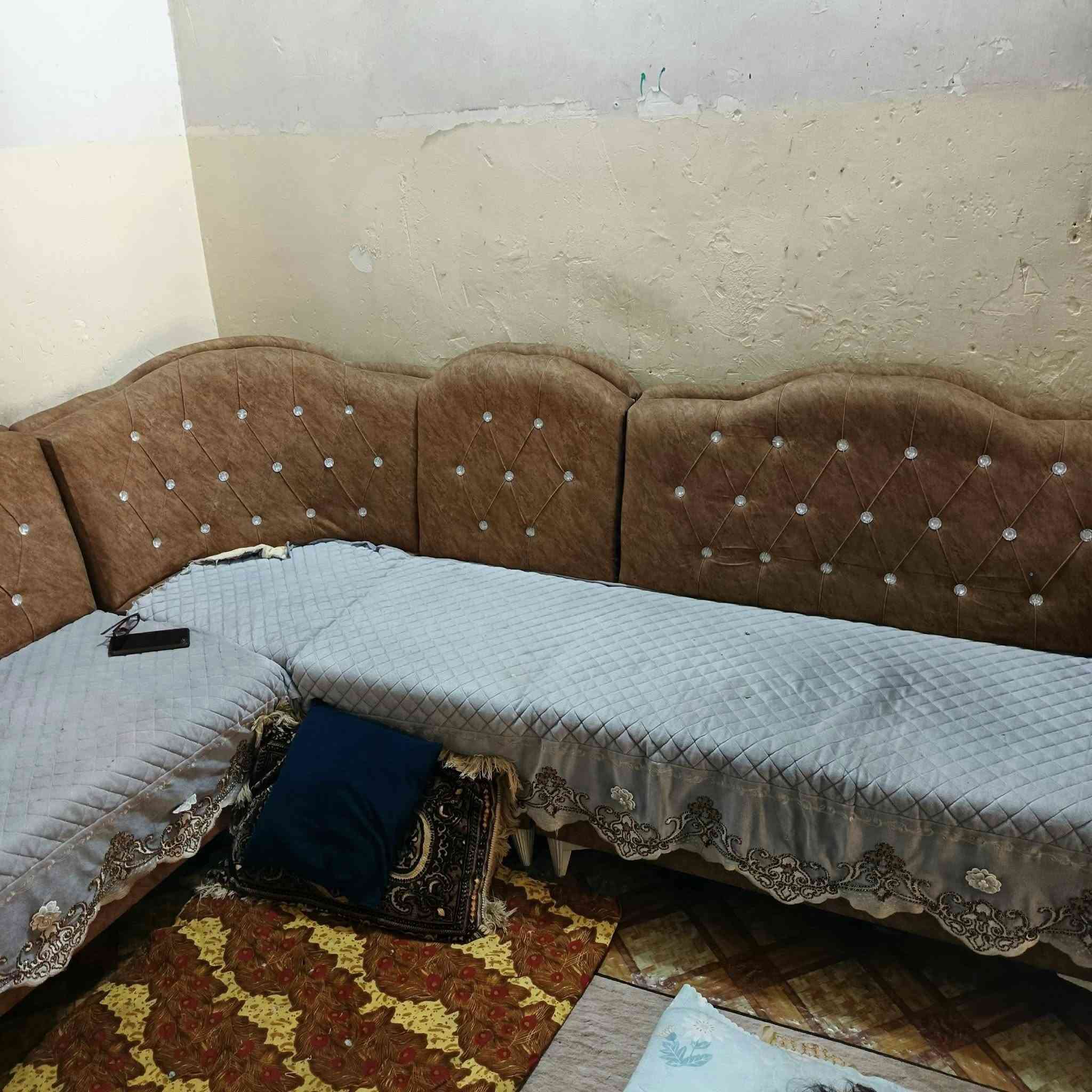 من رخصت ادمن عندي تخم مستعمل شي قليل البيع /بابل /الحمزة الغربي /شارع علي قمارة/***********ستفسار
