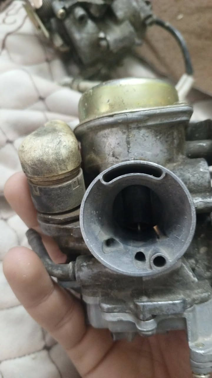 كابريتر سكنس فحل واحد اصلي والثاني تجاري للبيع مكاني بغداد بلديات مو شراي لا تتعبني رجائا


**إذا كنت صاحب هذا الإعلان وتريد حذفه لأي سبب، رجاءا أرسل رسالة إلى الدعم الفني**