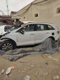 مديل ٢٠١٩ • رقم أربيل