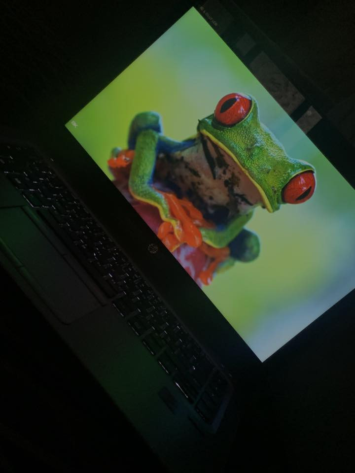 سلام عليكم لابتوب hp مواصفات مذكورة
مكاني بغداد البياع السعر 250 وبيه مجال 
لابتوب نقصه شاحنن و بطارية بس هية بطاريته شغالة
للتواصل على الرقم ***********
