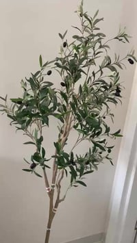 ديكور • حديقة • للبيع