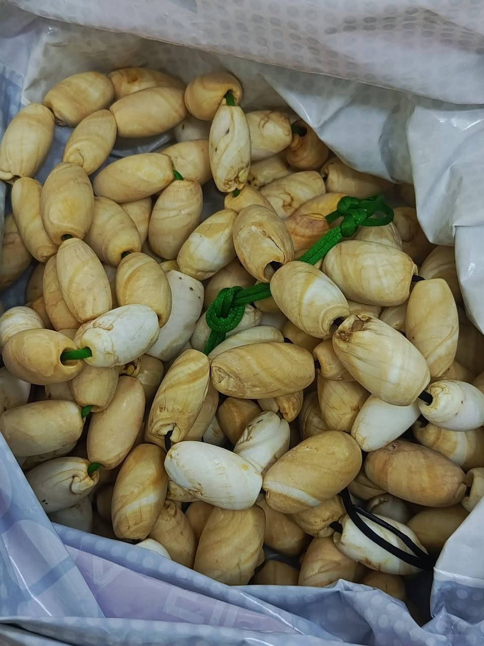 عطف بحري قديم العدد 167 قطعه شلع

تصال فقط ع سيم كارت 
***********
