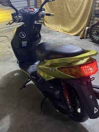 سكنس • فحل • اوراق كاملة