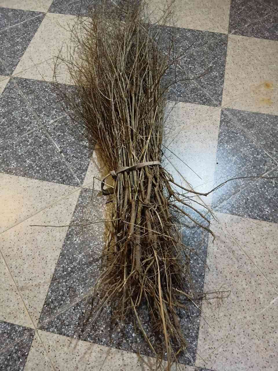 السلام عليكم يوجد شتل رمان حلو حايل رمان بيشكان والأصل مضمون سعر الشتله 750 للإستفسار ***********
