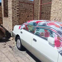 راس ثور • ١٩٩٦ • رقم بصره