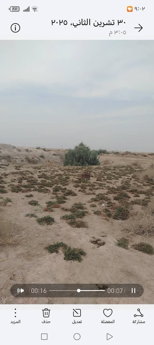 قطعة ارض
المساحه: 200 متر
العنوان: التنومه الصالحيه شارع تعليم الخيل قرب سيد جابر *********** البصرة, العراق
