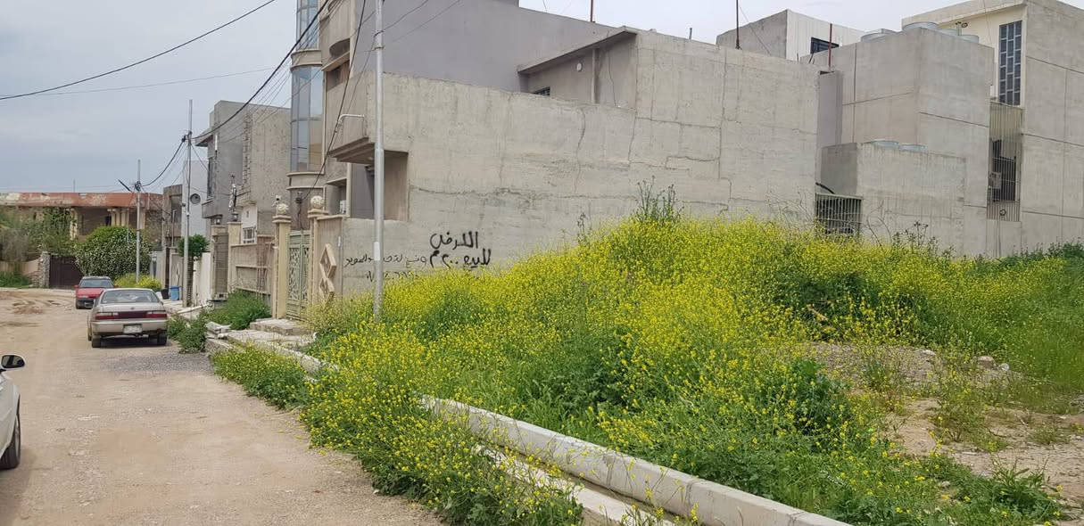 ارض للبيع
المساحة ٢٠٠ م (١٠ × ٢٠ )
حي الفلاح الاولى مزارع الخيرو 
للاستفسار يرجى الاتصال على الارقام 
***********
***********
