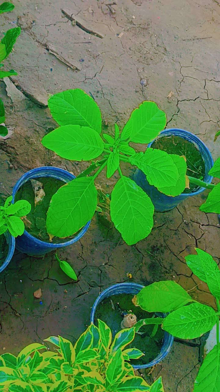 السلام عليكم ورد طبيعي توصيل موجود


**إذا كنت صاحب هذا الإعلان وتريد حذفه لأي سبب، رجاءا أرسل رسالة إلى الدعم الفني**