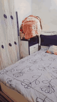 شعب • غرفة نوم • ميز يفتح