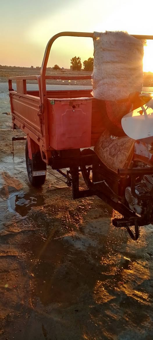 سلام عليكم ستوته للبيع مكان شوملي  سعر الستوته 800 مكان شوملي ستوته مال جناي رقم الهاتف ***********
