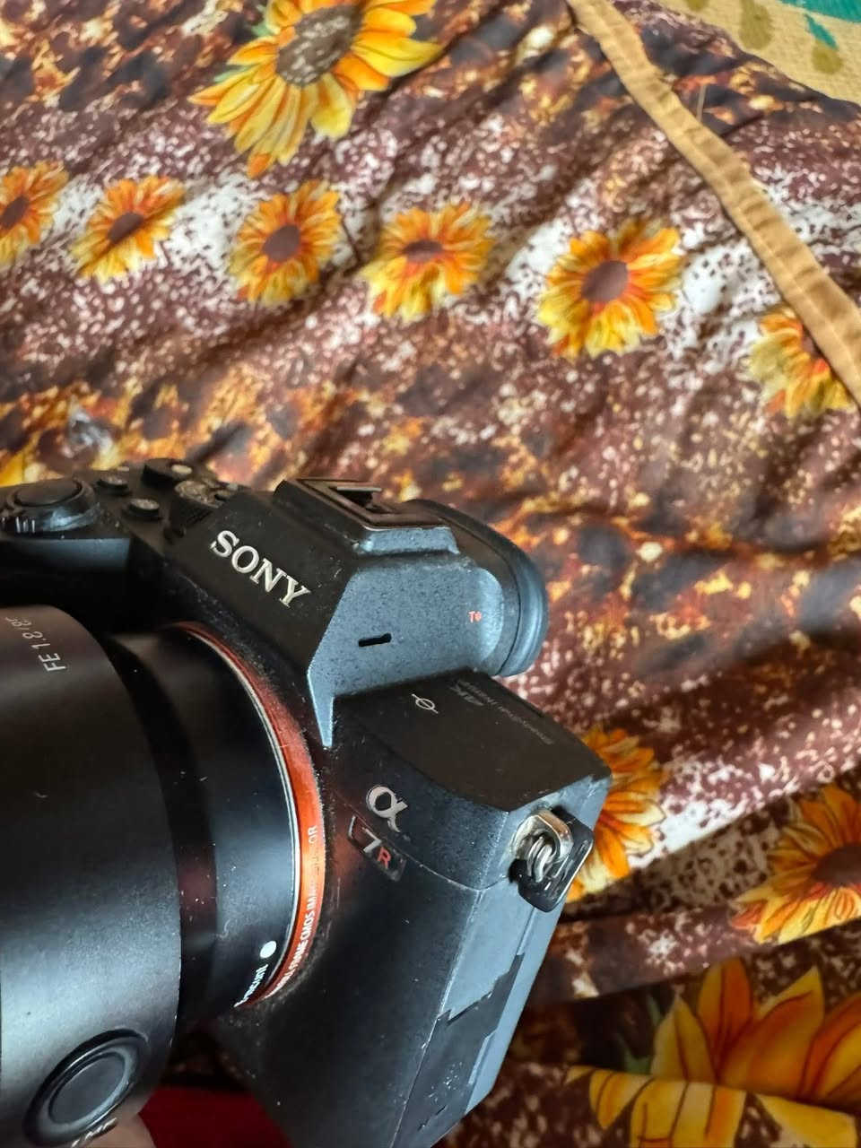 بدي فقط 
سوني r7m4
نضيفه وشترها كدامك
سعر مليونين وبيه مجال 
توصيل موجود


**إذا كنت صاحب هذا الإعلان وتريد حذفه لأي سبب، رجاءا أرسل رسالة إلى الدعم الفني**