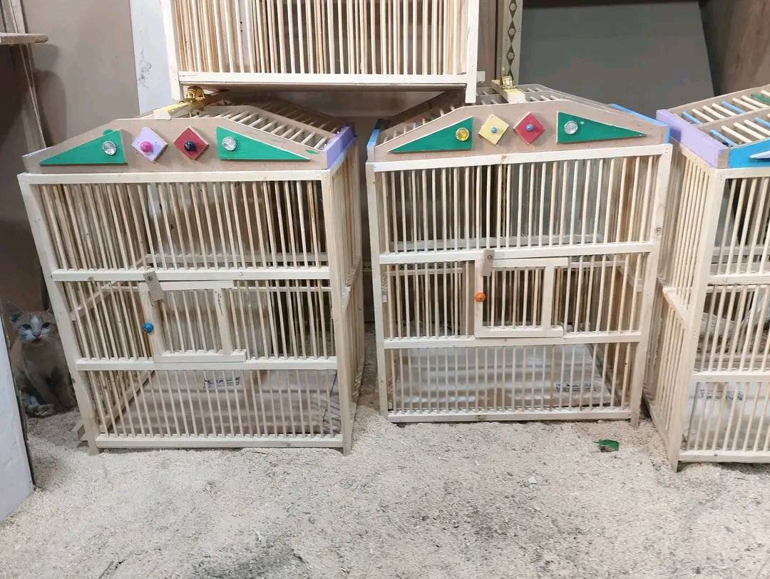 مجموعة أقفاص خشبية مثالية لتربية الطيور مثل البلابل والكناري. الأقفاص مصنوعة من الخشب المتين مع تفاصيل زخرفية في الأعلى. متوفرة بألوان متعددة لتناسب مختلف الأذواق. السعر ١٨ ألف لكل قفص.