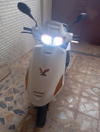 فراشة • جديدة • سلف