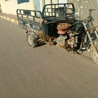 ستوته • شغاله • كبيسه