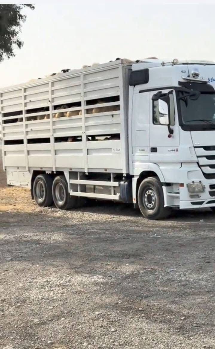 للبيع بودي مال اكتروز جديد طول 8متر بلادي 

بريص 480 كهربائيات كله جديد صبغ جديد. 

***********📞
