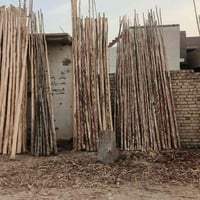 رايات محرم • عودان • ديالى