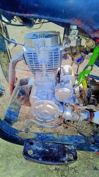 ستوته امتيار • موديل 14 • وراق صولي