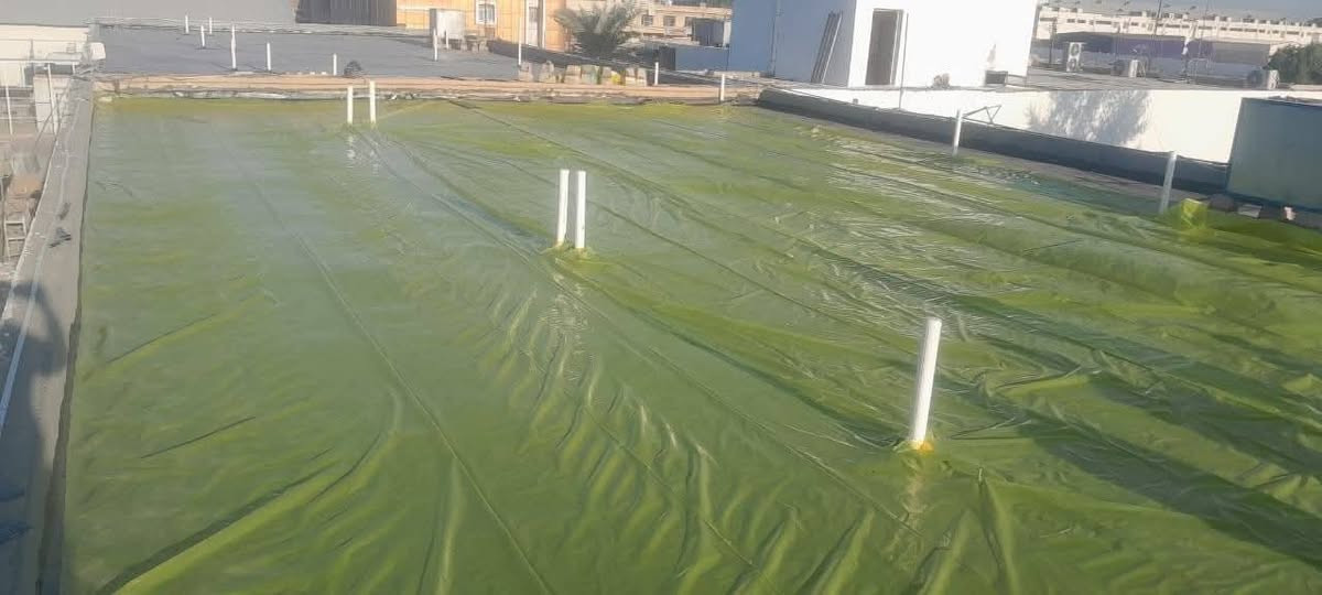 تطبيك اشتايكر اعادة ماستك قلع تزفيت اسطوح رباطات كادر جاهز للعمل ***********
