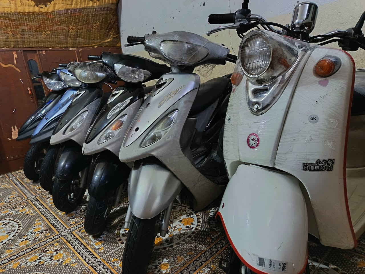 يالله
السلام عليكم شباب 50 بلاد 

ماكسات منغولي سعر  500

ماكسات قجم سعر  450

مصريه كلاسك سعر 350

سلف  كهربايات كلها

شغاله شلعه ومعدل

عنواني الناصريه مركز

رقمي وتساب

***********

الشراي يتصل او يراسلني ويدلل

بيهن مجال حك الجيه
