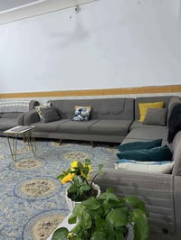 ديوان • ١١نفر • مع زاوية